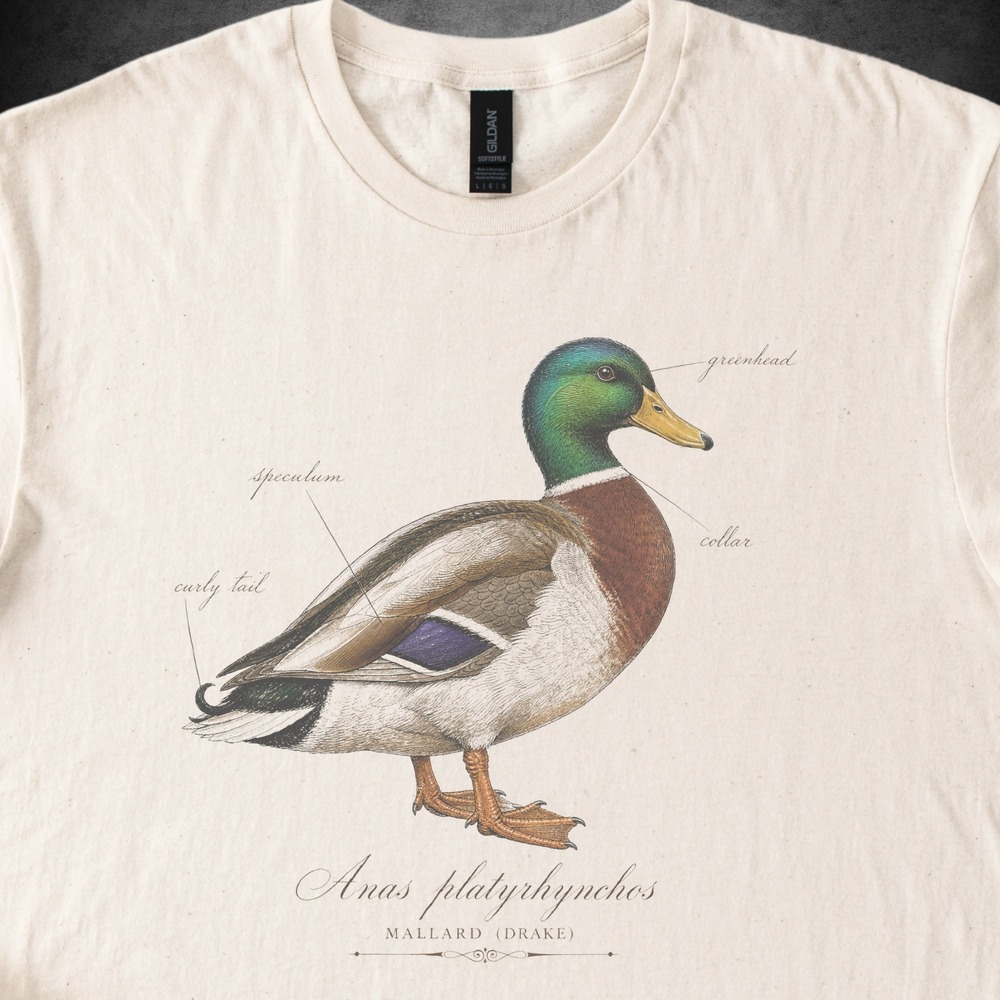 Greenhead Mallard Drake Field Guide Labeled Diagram Tee